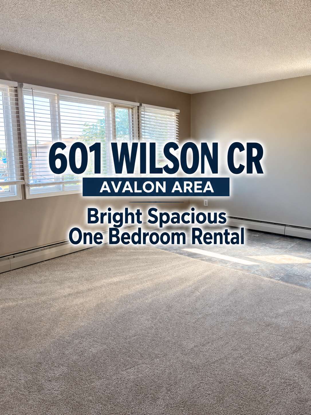 Spacious Bright 1 Bedroom Avalon Area
